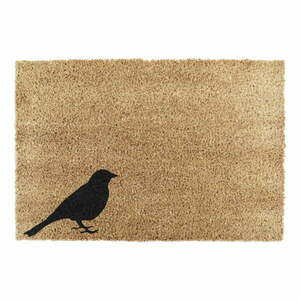 Kókuszrost lábtörlő 40x60 cm Bird – Artsy Doormats kép