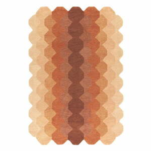 Téglavörös gyapjú szőnyeg 120x170 cm Hive – Asiatic Carpets kép