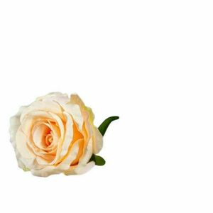 Barack rózsa virágfej 9 - 10 cm, 1db kép