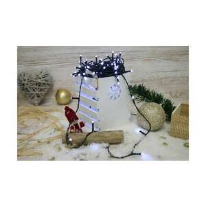 Tracon karácsonyi programozható fényfüzér 2+10m hideg fehér külté... kép