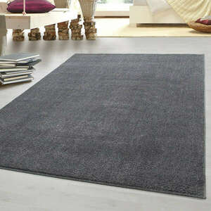 Modern szőnyeg Nílus egyszínű vastag dark grey 200x290cm kép