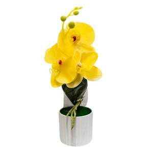 Virágdísz sárga orchideákkal 30x10 cm-es cserépben kép