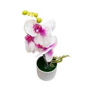 Virágdísz fehér és rózsaszín orchideákkal 30x10 cm-es cserépben kép