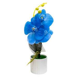 Virágdísz kék orchideákkal 30x10 cm-es cserépben kép