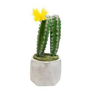 Virágdísz, két kaktusz mérete 22x9 cm kép