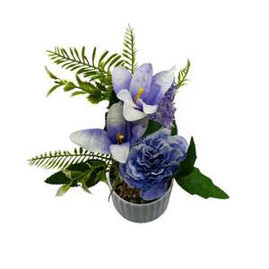 Dekoratív cserepes virág, kék virágok kép