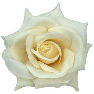 Selyemvirág rózsafej, világos barack, 10 cm kép