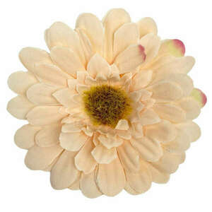 Gerbera virágfej, világos barack, 8 cm kép