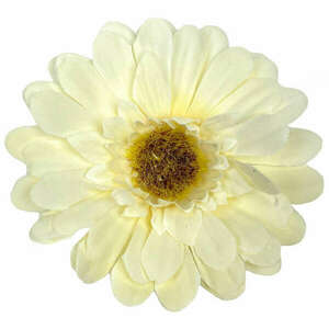 Gerbera virágfej, ekrü, 8 cm kép