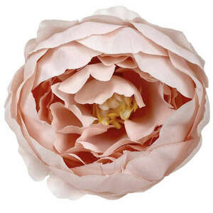Dekor virágfej, rózsaszín, 5, 5 cm kép