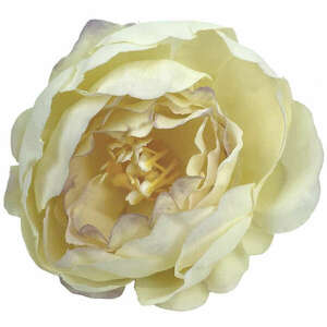 Dekor virágfej, cirmos krém, 5, 5 cm kép