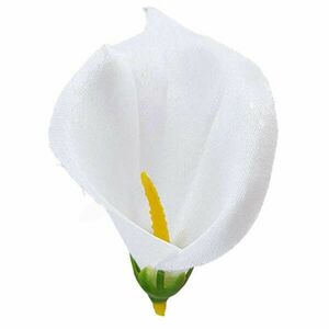 Kála virágfej, fehér, 8 cm kép
