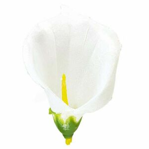 Kála virágfej, törfehér, 8 cm kép