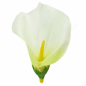 Kála virágfej, vanília-lime, 8 cm kép