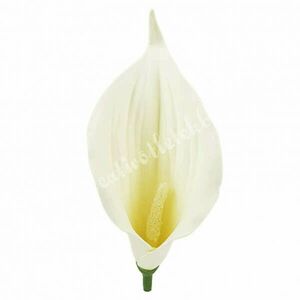 Kála virágfej, krém, 13 cm kép