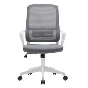 Irodai szék, szürke/fehér, SALOMO TYP 1 kép