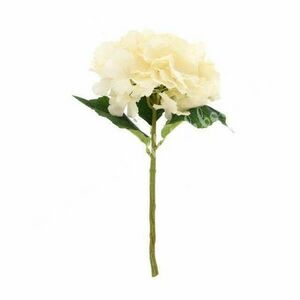 Művirág Hortenzia kép
