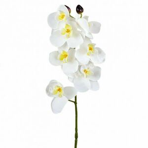Orchidea, fehér, 70 cm kép