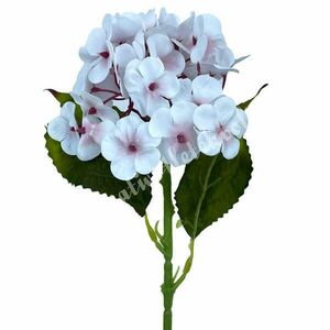 Gumi hortenzia szál, cirmos fehér, 40 cm kép