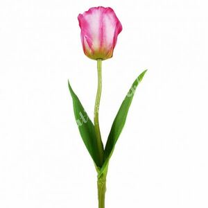 Tulipán szálas, cirmos pink, 42 cm kép