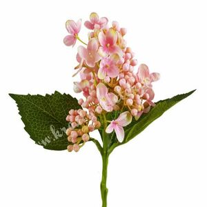 Hortenzia bogyókkal, cirmos rózsaszín, 38 cm kép