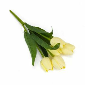 5 ágú tulipán csokor vanília kép