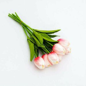Élénk magenta cirmos tulipán kép