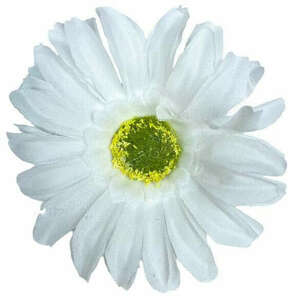 Gerbera virágfej, fehér, 8 cm kép