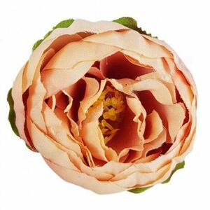 Boglárka virágfej, barack, 5 cm kép