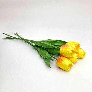 51 cm nagy virágú tulipán citrom-narancs kép