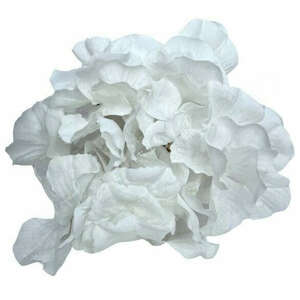 Művirág Hortenzia fehér kép