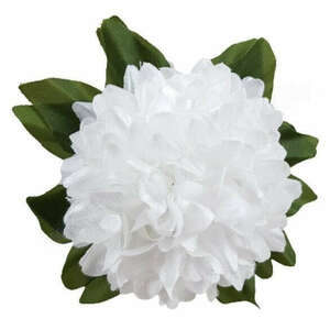 Leveles krizantém virágfej, fehér, 11 cm kép