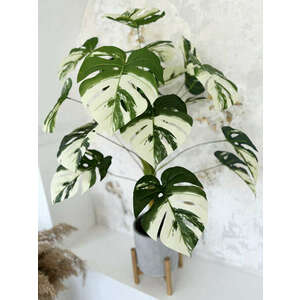 Műnövény Trópusi Krémes Zöld 120-115cm magas dús kép