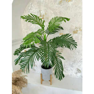 Műnövény Trópusi Pálma Zöld 120-115cm magas dús kép