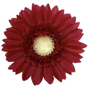 Gerbera virágfej, bordó, 9 cm kép