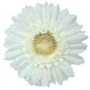 Gerbera virágfej, törtfehér, 9 cm kép