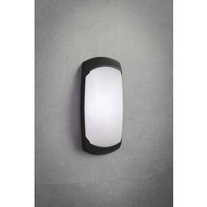 Francy kültéri fali lámpa, fekete/opál, GX53 CCT, frontális kép