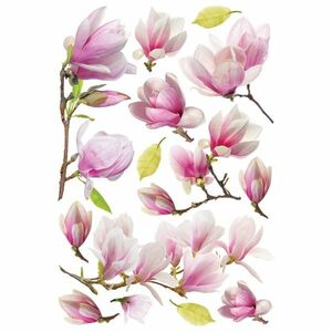 Magnolia Matrica kép