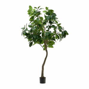 Fikusz műnövény (magasság 210 cm) Ficus – Kave Home kép