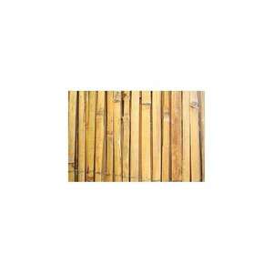 Str bambusz kerítés 1, 5x5 m (2210088) kép