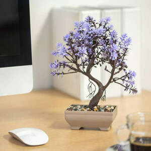 Műnövény dekoráció - bonsai - 18 x 24 cm - 4 féle kép