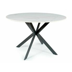 Asztal Detroit 256, Fehér márvány, Fekete, 76cm, Kerámia, Fém kép