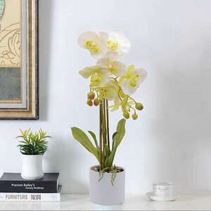 Orchidea művirág - fehér kaspóban kép