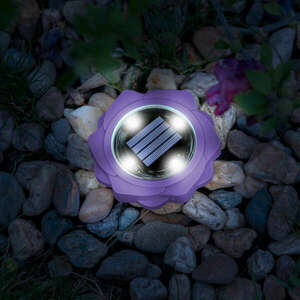 LED-es leszúrható szolár lámpa - lila - hidegfehér - 11, 5 x 2, 3 cm kép