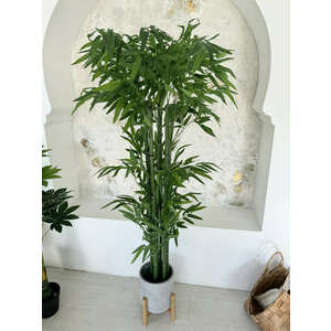 Műnövény Trópusi Óriás Bambusz Zöld 180cm magas dús kép
