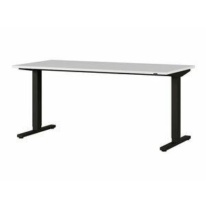 Állítható magasságú íróasztal Sacramento AL109, Elektromos, Állítható magasság, 73x160x80cm, Világosszürke, Fekete kép