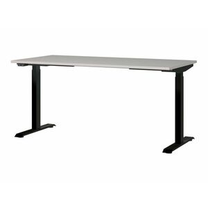 Állítható magasságú íróasztal Sacramento 416, Elektromos, Állítható magasság, 72.1x160x80cm, Világosszürke, Fekete kép