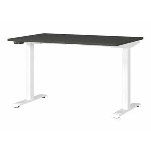 Állítható magasságú íróasztal Sacramento 417, Elektromos, 72.1x120x80cm, Fehér, Grafit kép