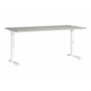 Állítható magasságú íróasztal Sacramento 421, Állítható magasság, 75x160x80cm, Fehér, Világosszürke kép