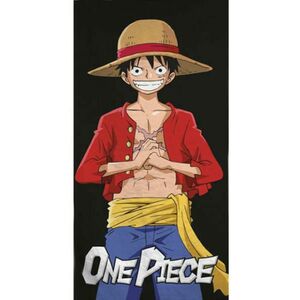 One Piece (AYM070224) kép
